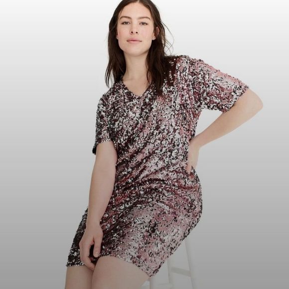 UNIVERSAL STANDARD FOR J. CREW Sequin V-Neck Dress NWT - Size 3X - Picture 1 of 9